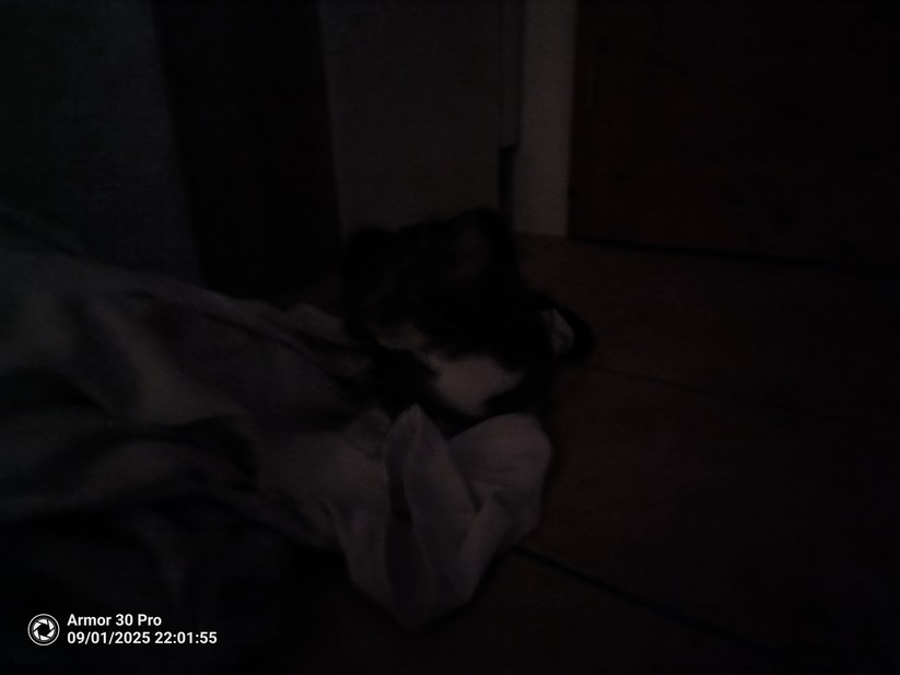 Ulefone Armor 30 Pro - Originalaufnahmen