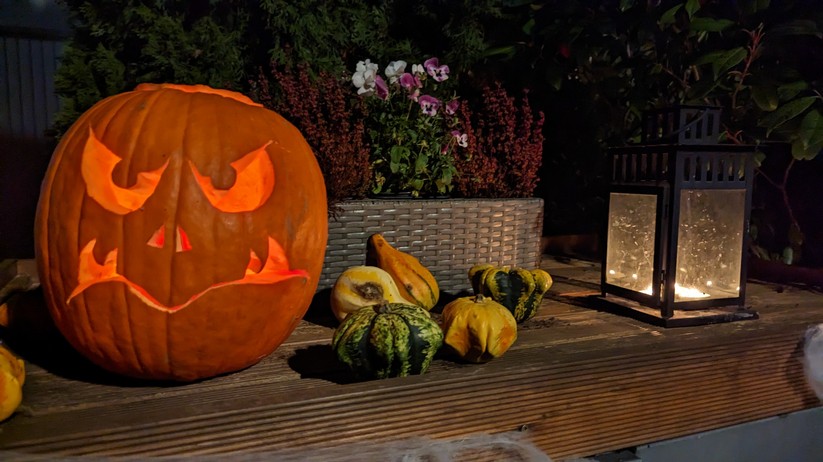 Google Pixel 7 Pro Fotos