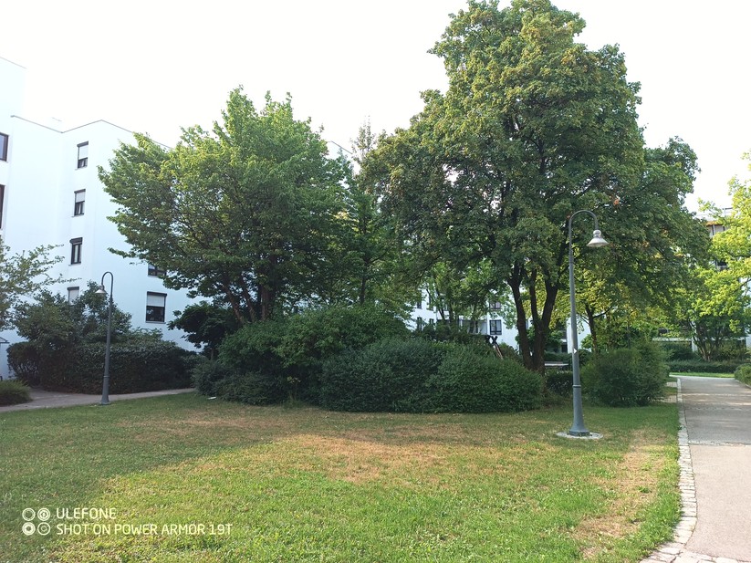 Ulefone Power Armor 19T - Originalaufnahmen