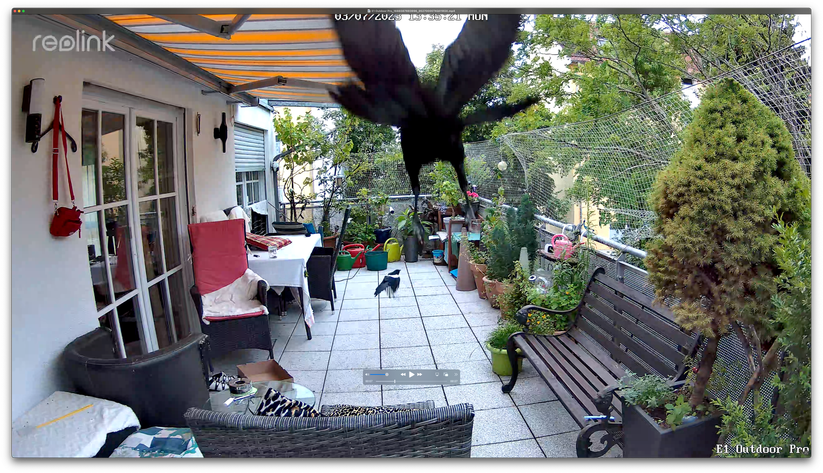 Reolink E1 Outdoor Pro im Test: PTZ-Überwachungskamera mit 4K und optischem Zoom 