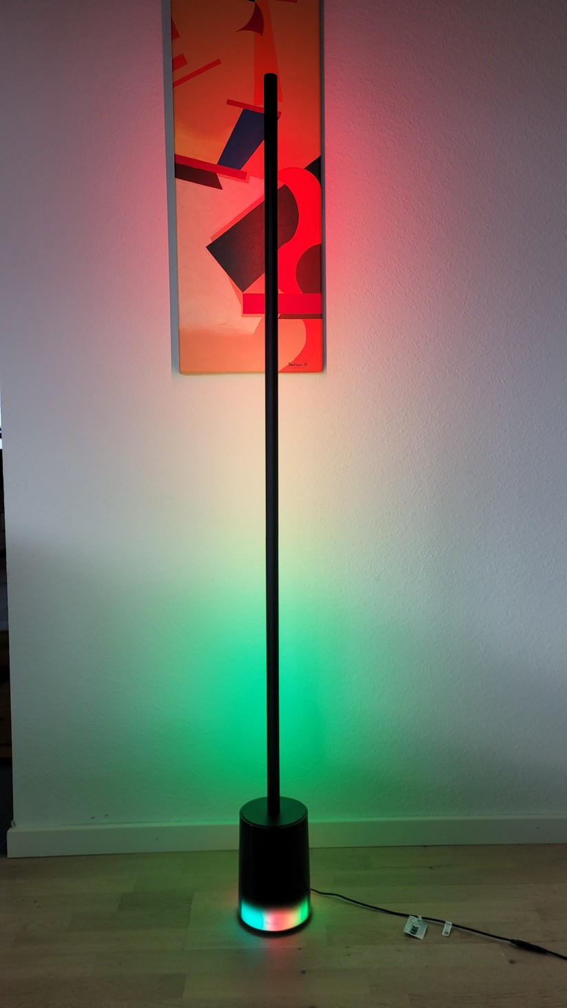 Govee Floor Lamp 2