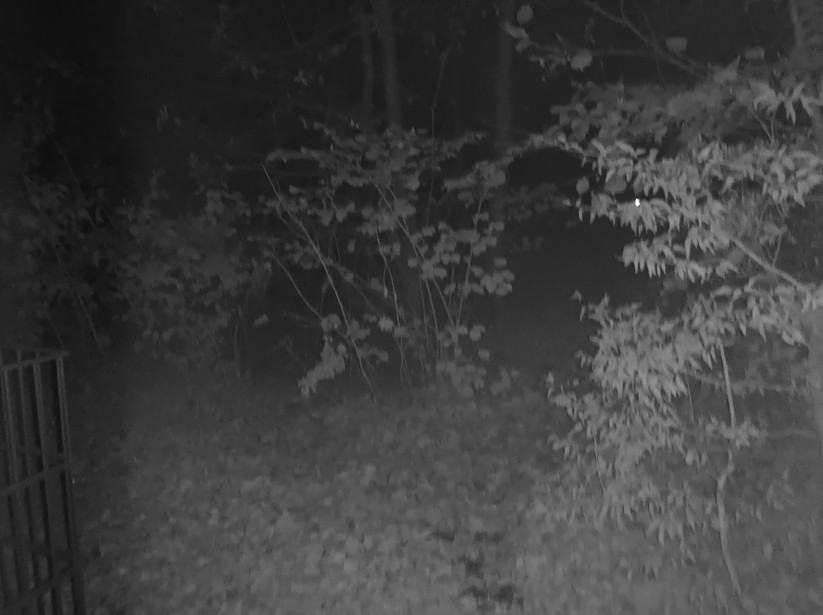 Oscal Tank 1 - Originalaufnahmen