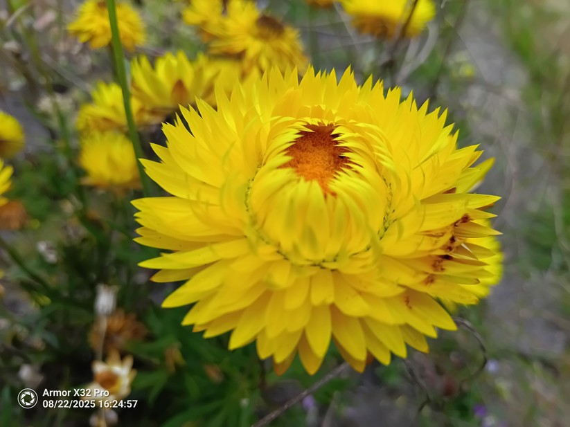 Ulefone Armor X32 Pro - Originalaufnahmen