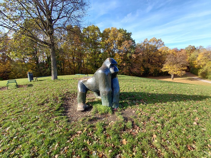 Samsung Galaxy Xcover 7 Pro – Originalaufnahmen