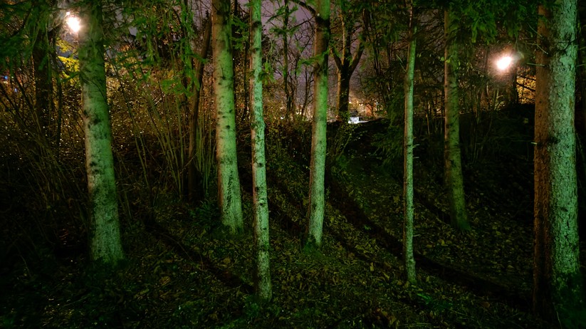 Nokia X30 5G - Originalaufnahmen 