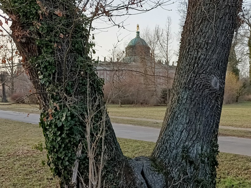 Oppo Reno 4 Z 5G