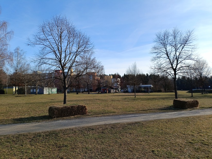 Xiaomi Poco M6 Pro - Originalaufnahmen 