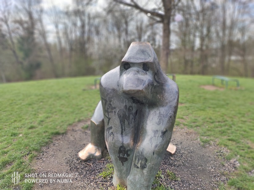 Nubia RedMagic 7 - Originalaufnahmen