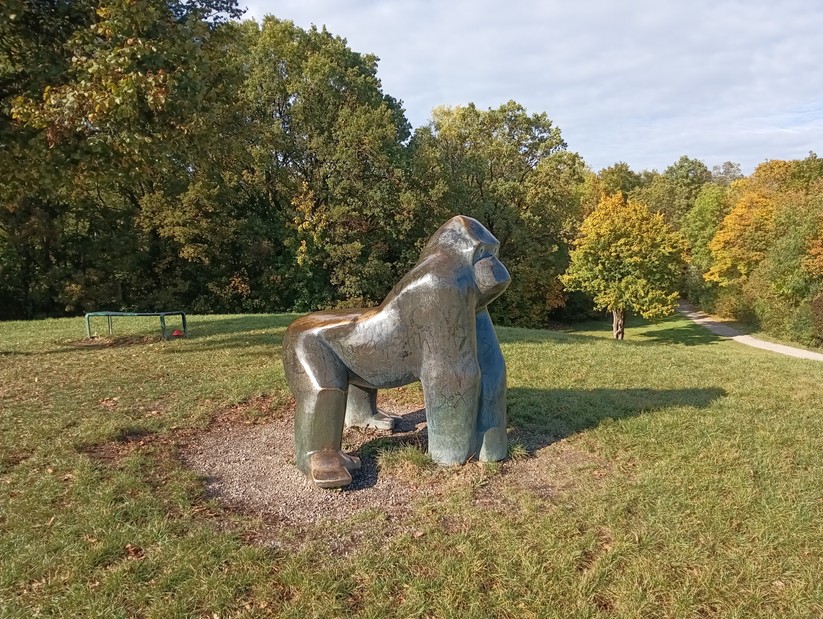 Cat S75 - Originalaufnahmen