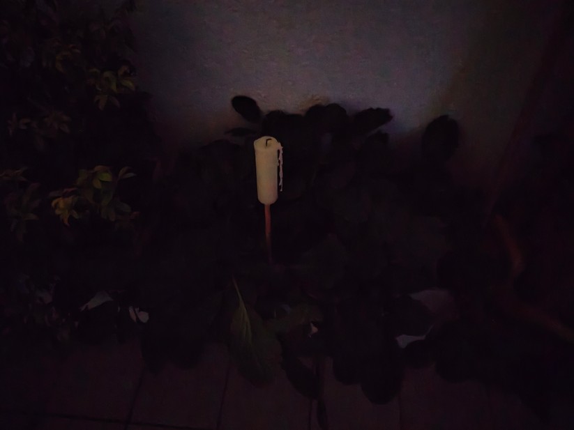 Realme 14 Pro+ 5G - Originalaufnahmen