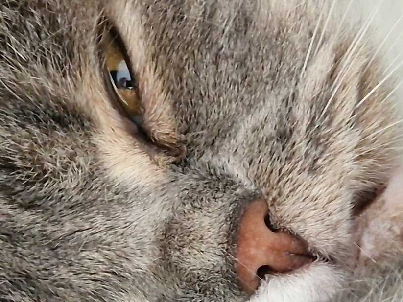 Samsung Galaxy S22 Ultra