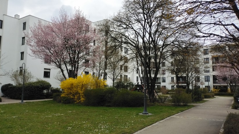 Cat S53 - Originalaufnahmen