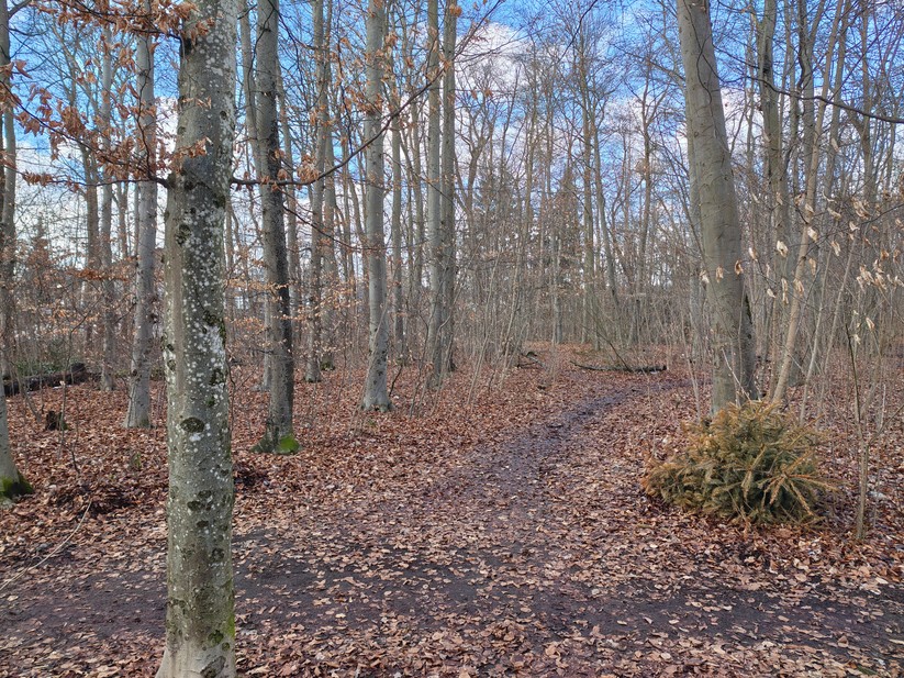 Motorola Signature - Originalaufnahmen