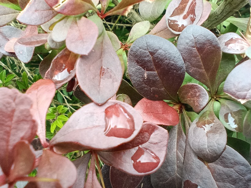 Blackview BV 9200 - Originalaufnahmen 