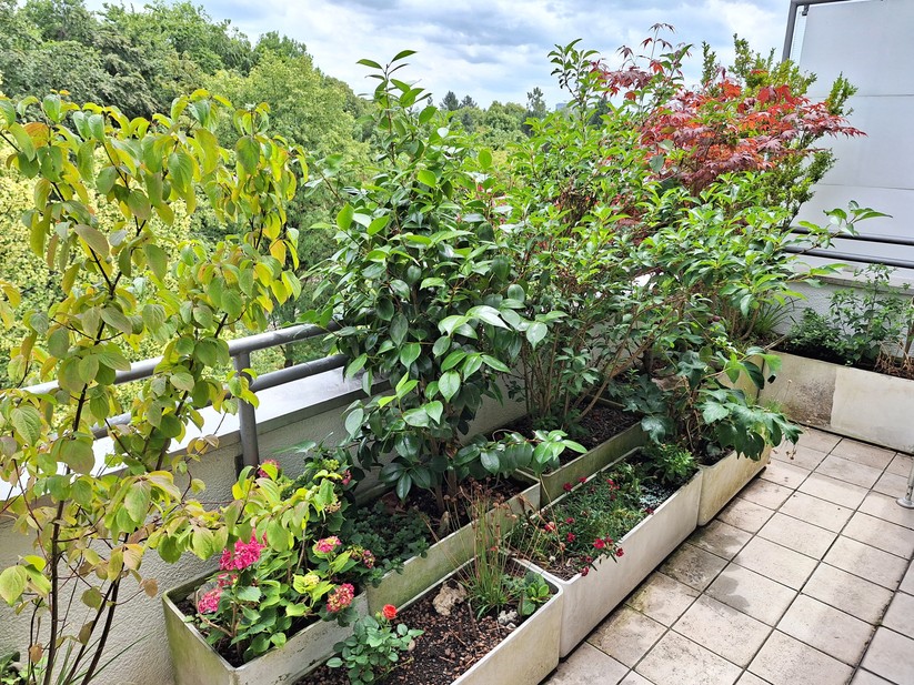 Samsung Galaxy A54 - Originalaufnahmen 