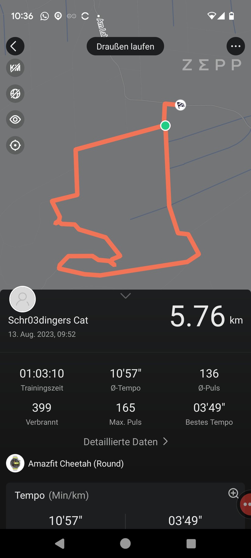 Zapp-App von Amazfit