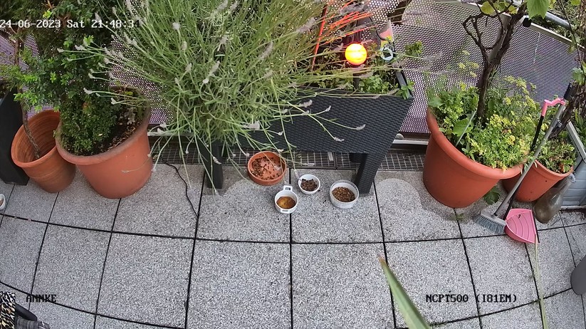 Annke NCPT500: Testaufnahmen