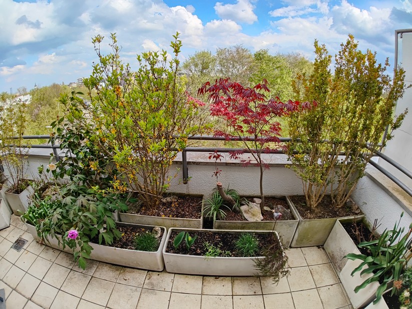 Realme GT 2 Pro - Originalaufnahmen