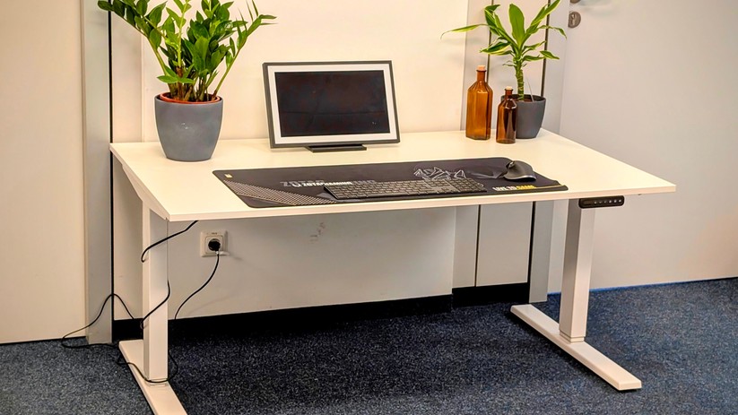 Assmann Y-Line