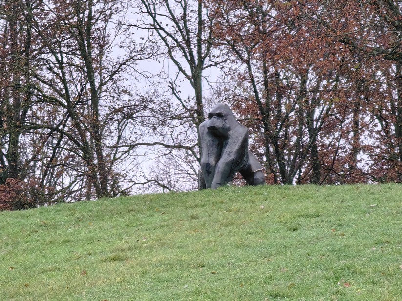 Huawei Mate 50 Pro - Originalaufnahmen 