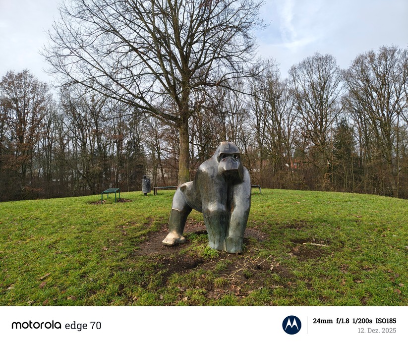 Motorola Edge 70 - Originalaufnahmen