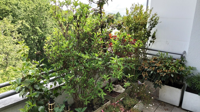 Samsung Galaxy Tab S5e