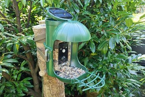 Vogelfutterspender mit Kamera  von Cozion im Test