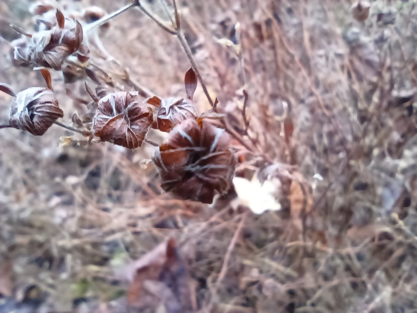 Gigaset GX6 - Originalaufnahmen