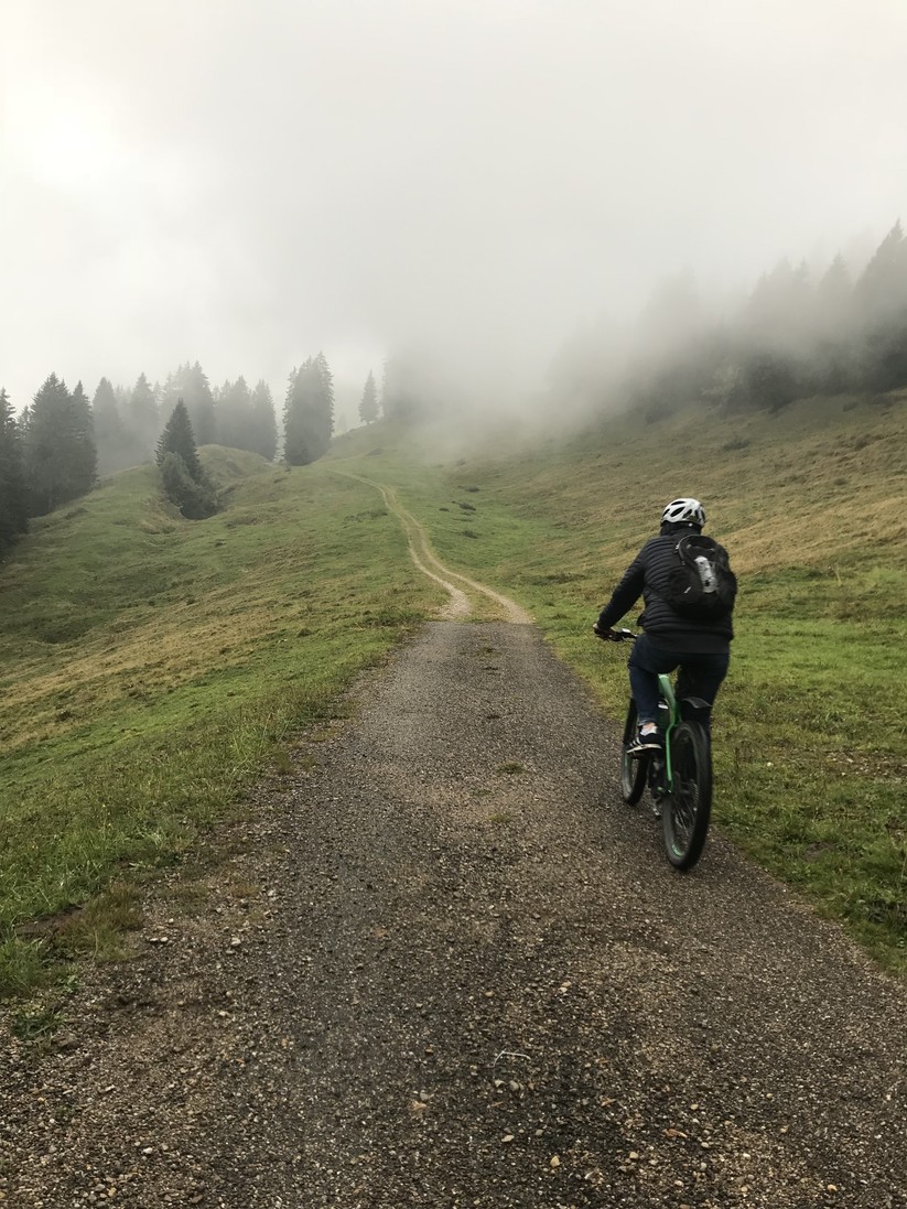 Kein Go für freie Fahrt: Solange dies nicht eine explizite, abgesperrte Privatstraße ist und der Eigentümer sein Einverständnis erklärt hat, gilt auch im Wald oder in den Bergen die 25-km/h-Grenze.