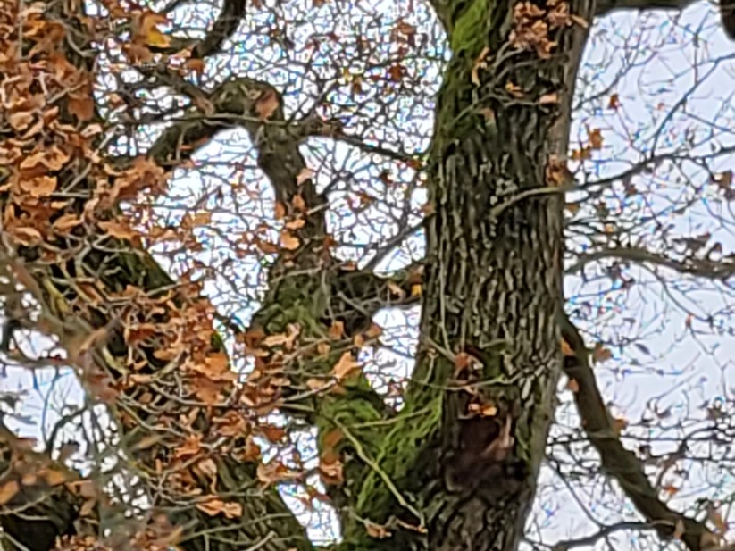 Samsung Galaxy Z Flip 3 5G