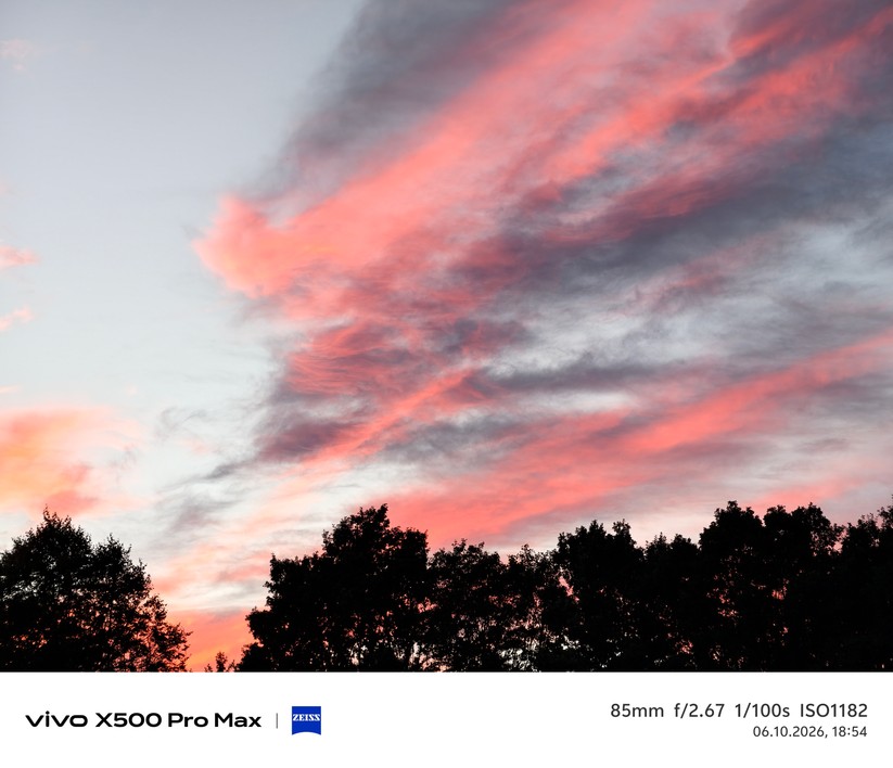 Vivo X500 Pro Max