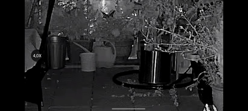 Ezviz C8W Pro 2K: Netzwerkwechsel, Einstellungen, Aufnahmen, Nachtsicht