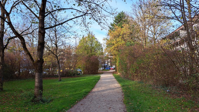 Samsung Galaxy A53 - Originalaufnahmen 