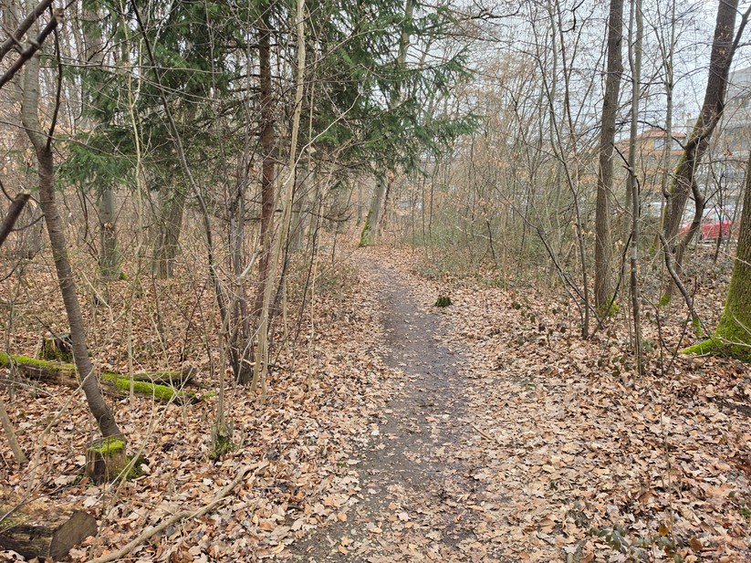 Samsung Galaxy S26 Ultra - Originalaufnahmen