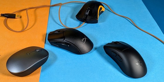 Ratgeber Mäuse - Titelbild