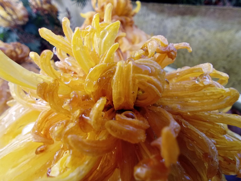 Gigaset GS5: Originalaufnahmen