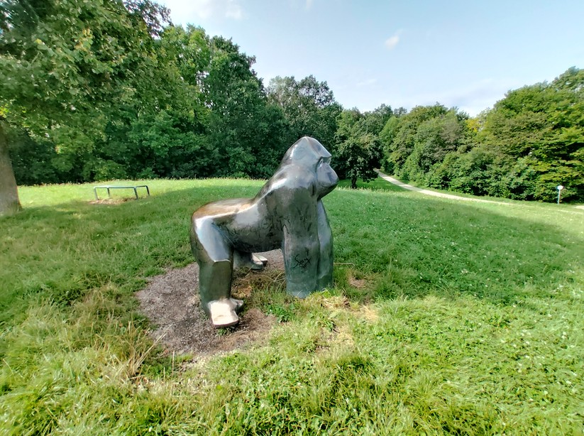 T Phone 2 Pro - Originalaufnahmen