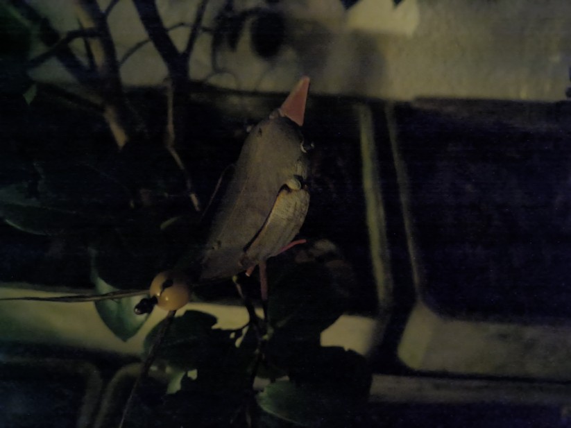 Ulefone Armor 34 Pro - Originalaufnahmen