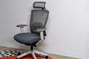 Bürostuhl Flexispot BS14 im Test