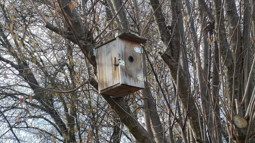 Unser erster DIY-Kasten erfreut sich noch immer großer Beliebtheit, man sieht ihm das Alter aber langsam an.