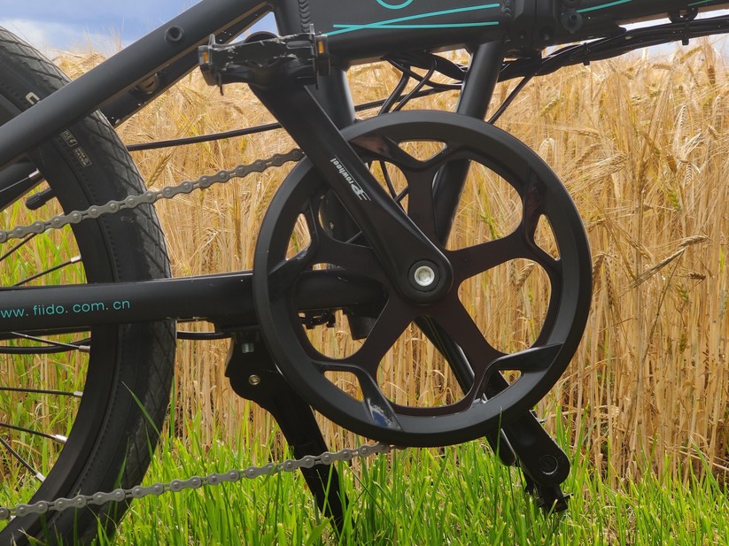 Fiido D4S in Bildern