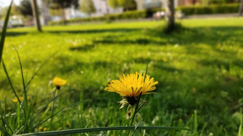 Motorola Edge 30  - Fotos