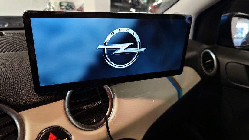 Carpodgo T4 Plus: Saugnapfhalterung