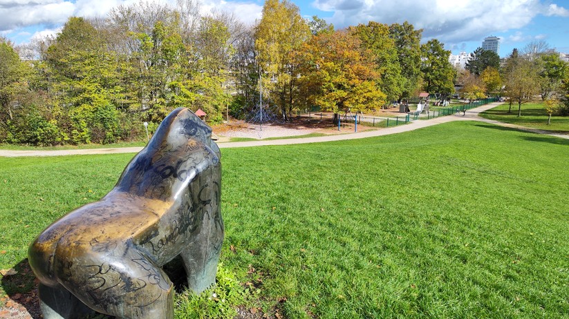 Xiaomi 12T Pro - Originalaufnahmen