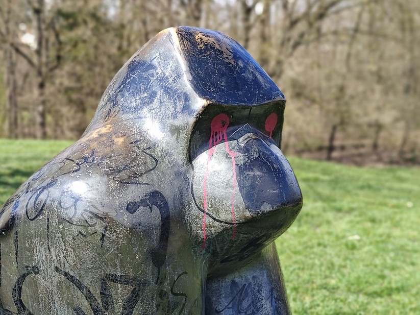 Motorola Edge 40 Pro - Originalaufnahmen