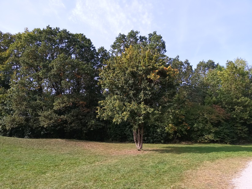 Doogee V31GT - Originalaufnahmen 