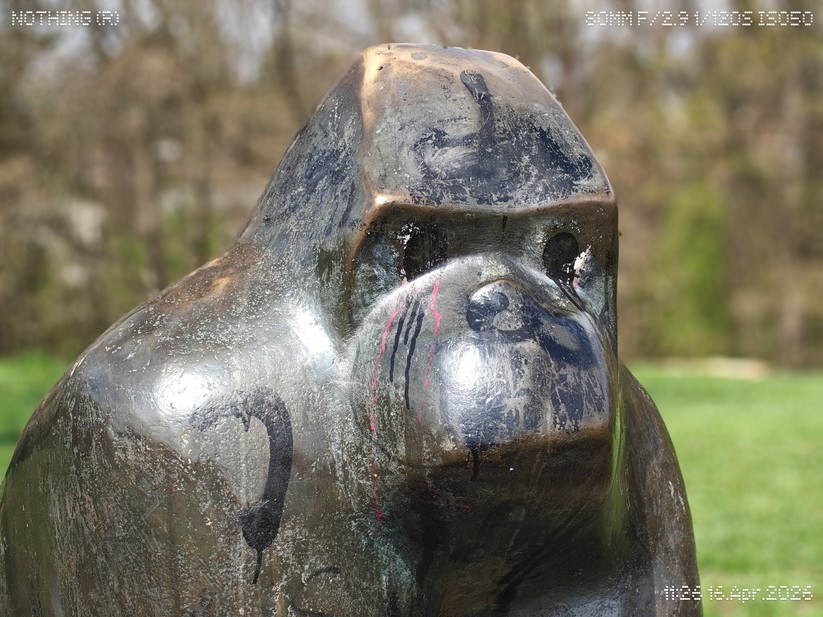 Nothing Phone 4a Pro: Telelinse im Portätmodus (3,5x Zoom) 