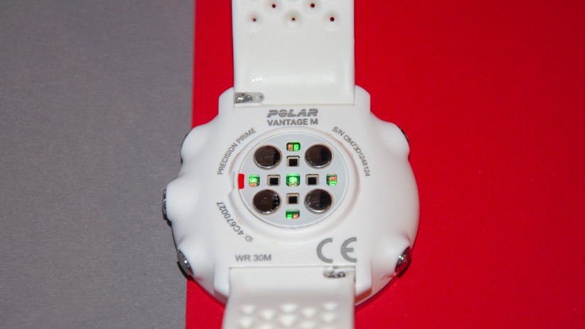 Fünf Sensoren messen den Puls und funktionieren auch im Wasser. 