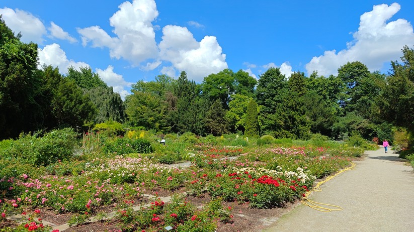 Redmagic 10 Air - Originalaufnahmen 