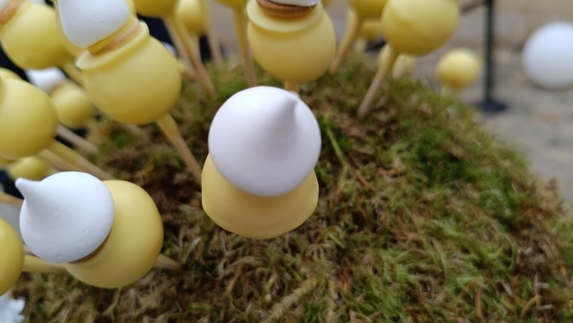 Xiaomi Redmi Note 12 Pro+ - Originalaufnahmen